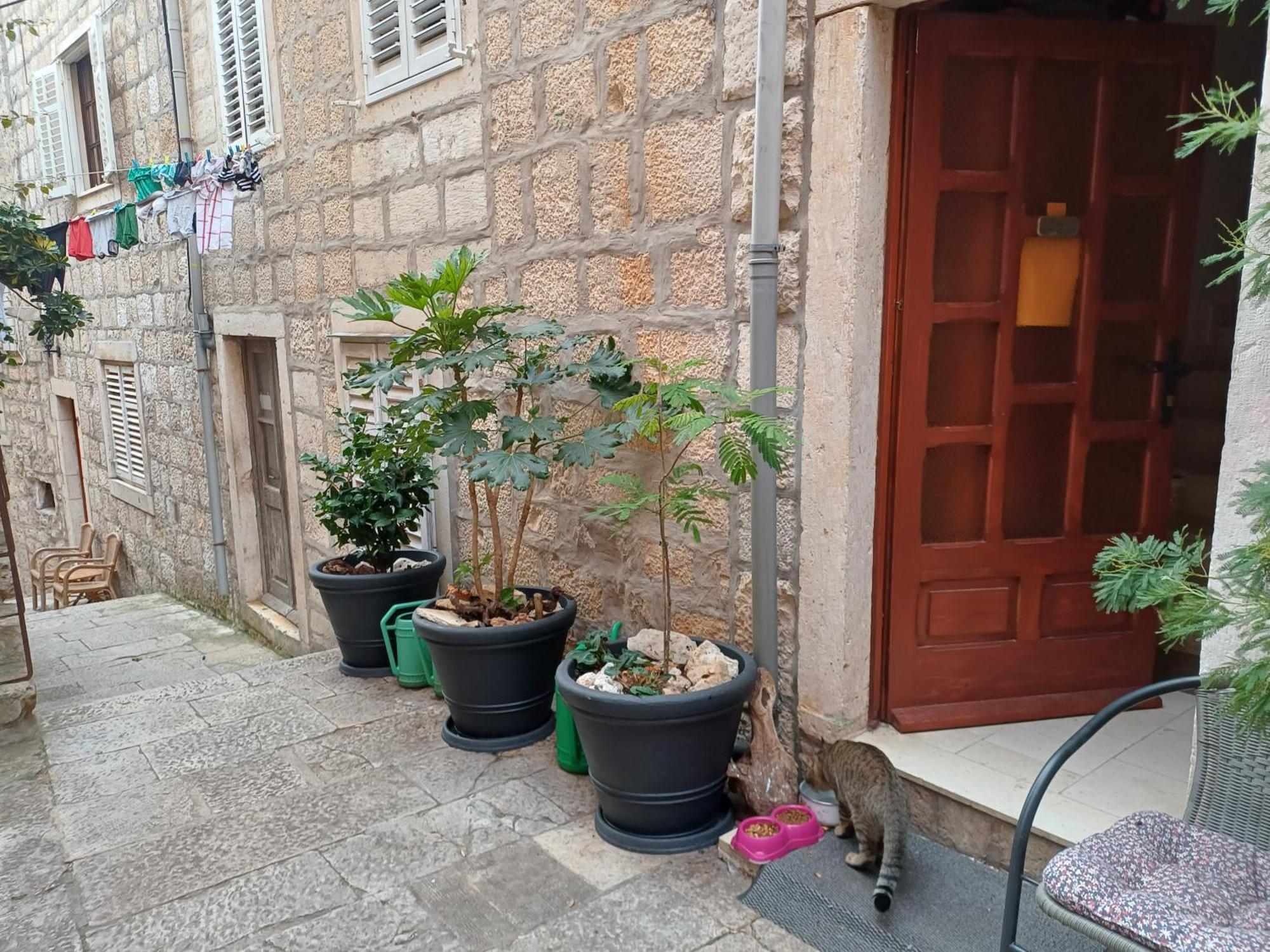 Guest House Jungher Korčula Екстериор снимка